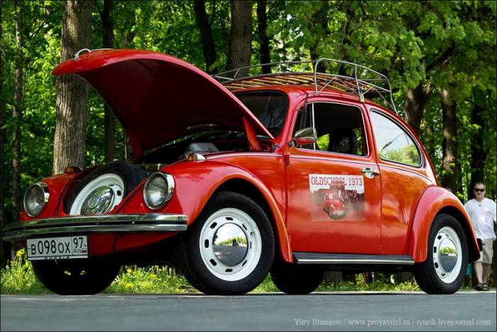   VW Beetle (64 )