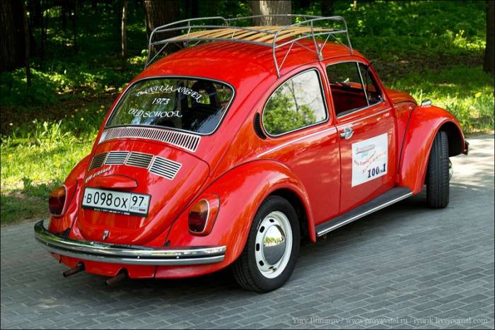   VW Beetle (64 )