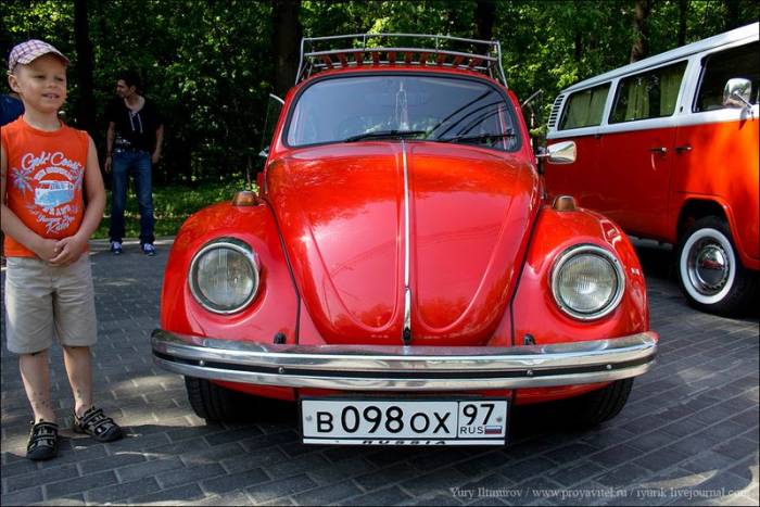   VW Beetle (64 )