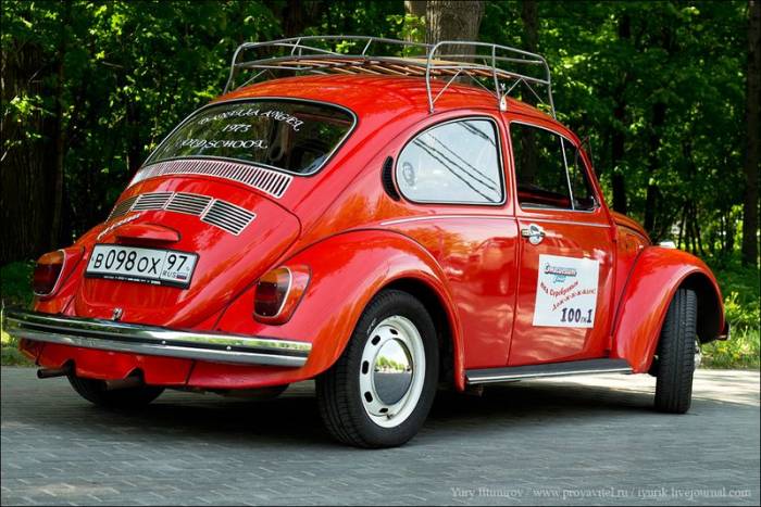   VW Beetle (64 )