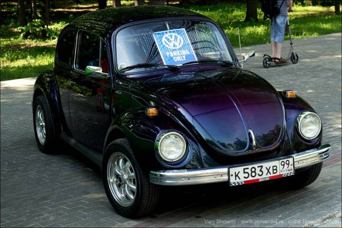   VW Beetle (64 )