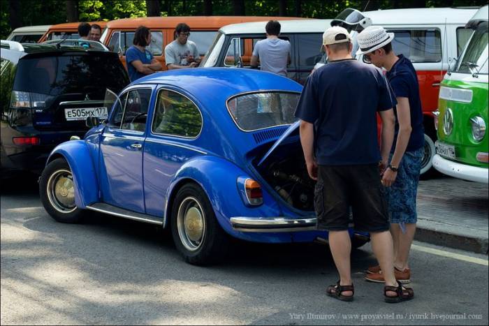  VW Beetle (64 )