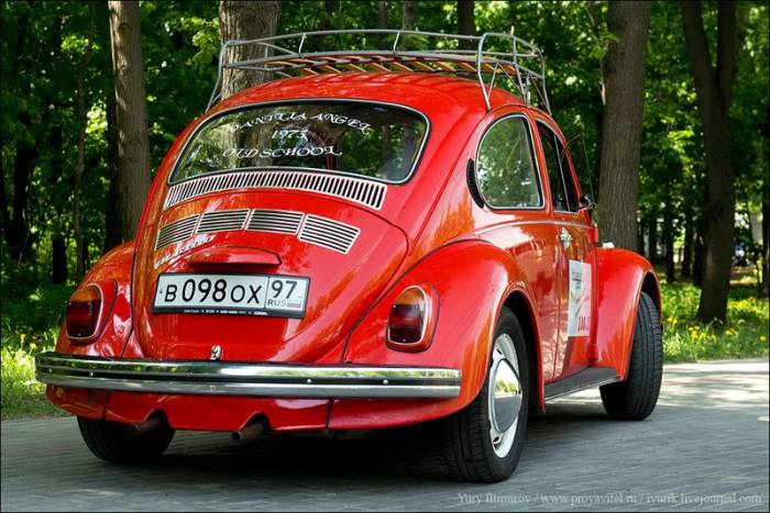   VW Beetle (64 )