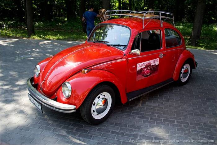   VW Beetle (64 )