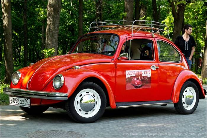   VW Beetle (64 )
