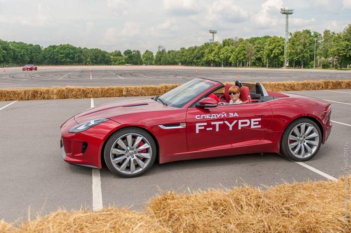   - Jaguar F-Type (29 )