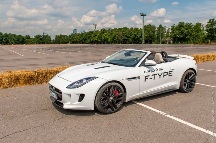   - Jaguar F-Type (29 )