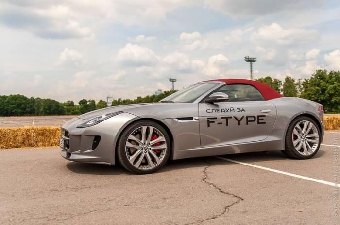   - Jaguar F-Type (29 )