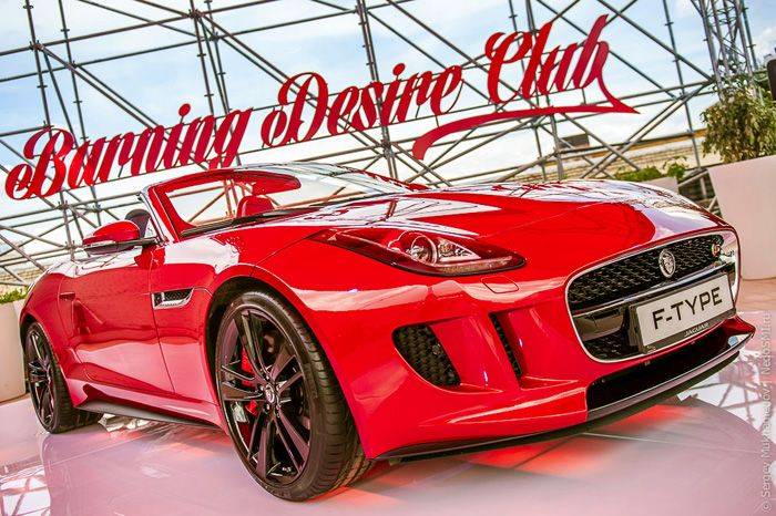   - Jaguar F-Type (29 )