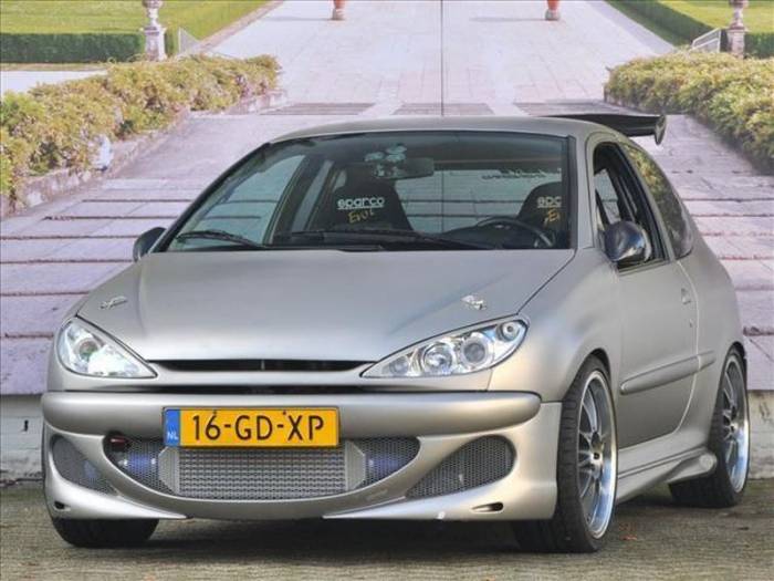 300- Peugeot 206 (26 )