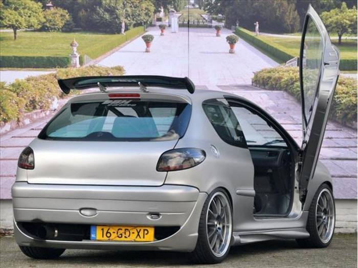 300- Peugeot 206 (26 )