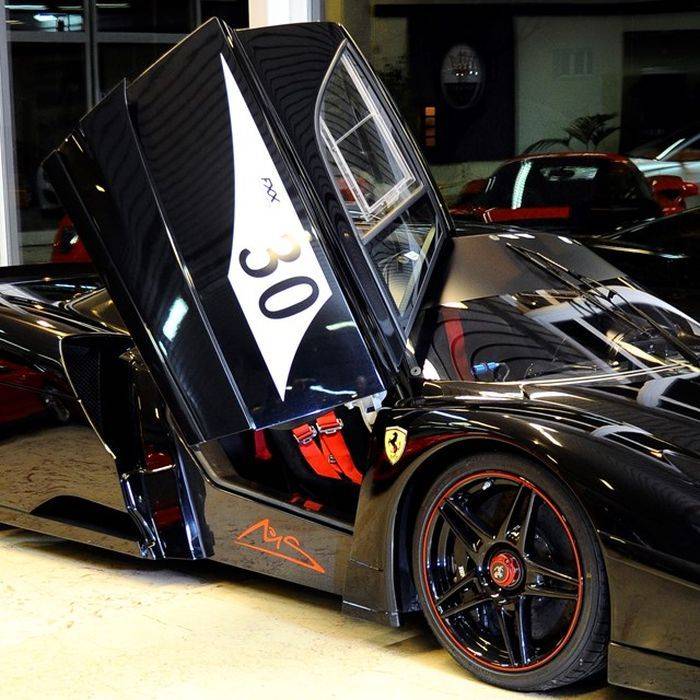 Ferrari Enzo  FXX      (12 )