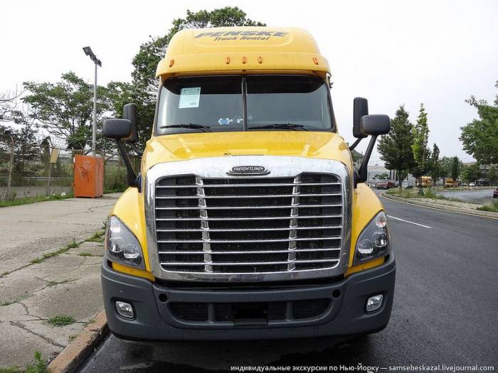   Freighliner Cascadia (21 )