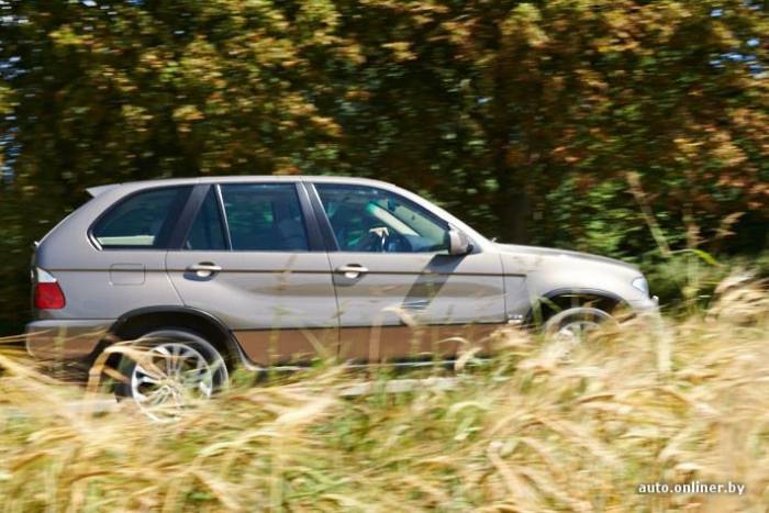 BMW X5 E53   (43 )