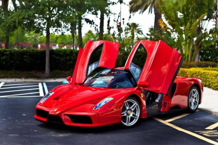      Ferrari Enzo (5 )