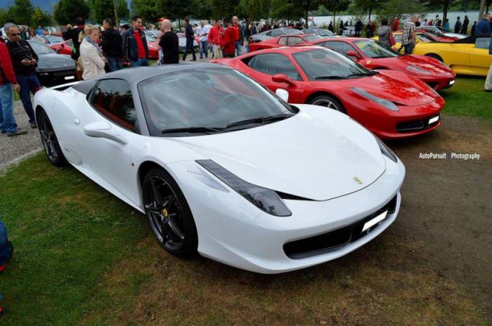 Euro Ferrari Day 2013 (53 )