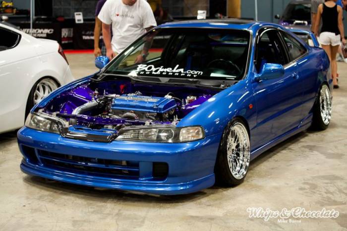 Wekfest East 2013 (110 )