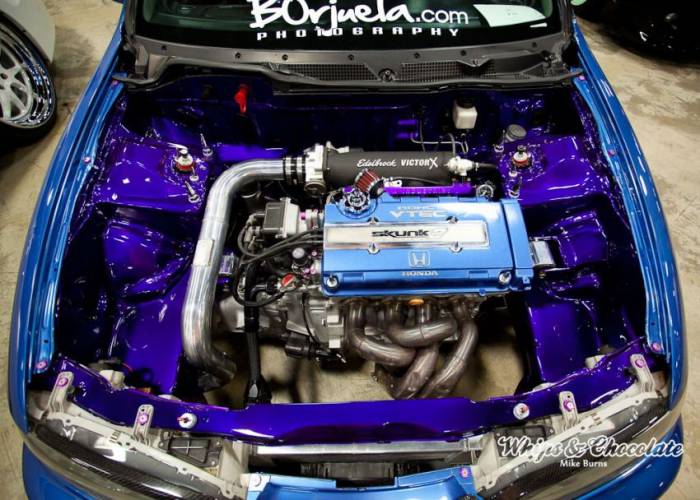 Wekfest East 2013 (110 )