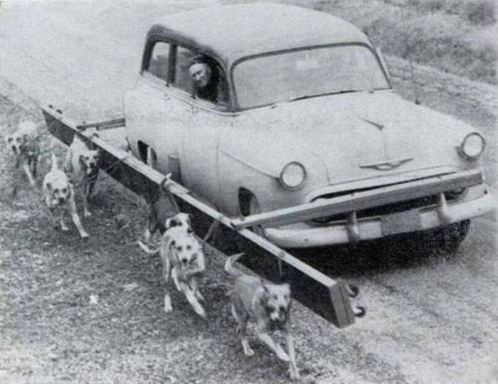    (91 )