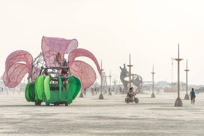   Burning Man 2013 (39 )