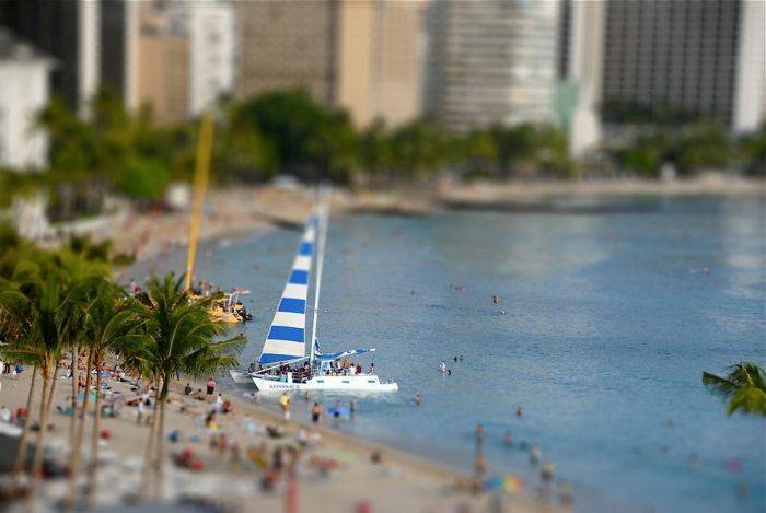     Tilt-Shift (100 )