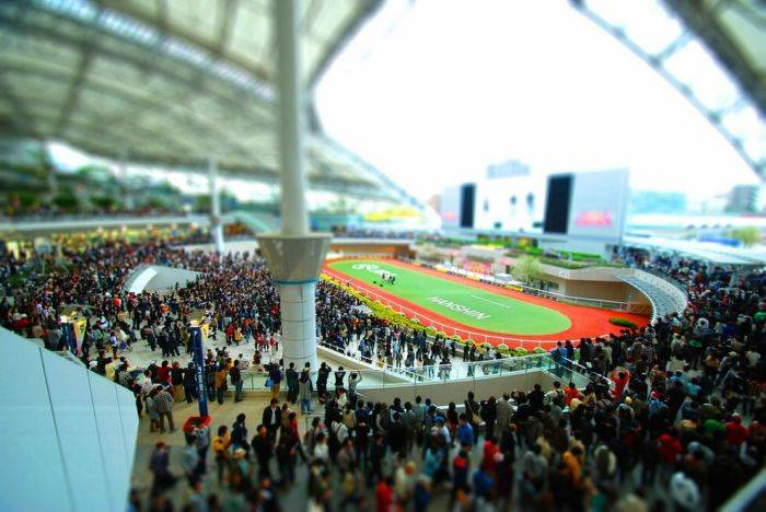     Tilt-Shift (100 )