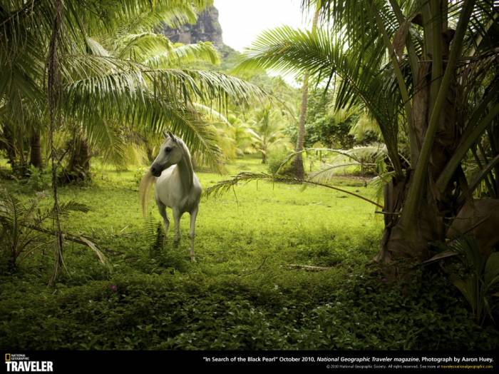    National Geographic (33 )