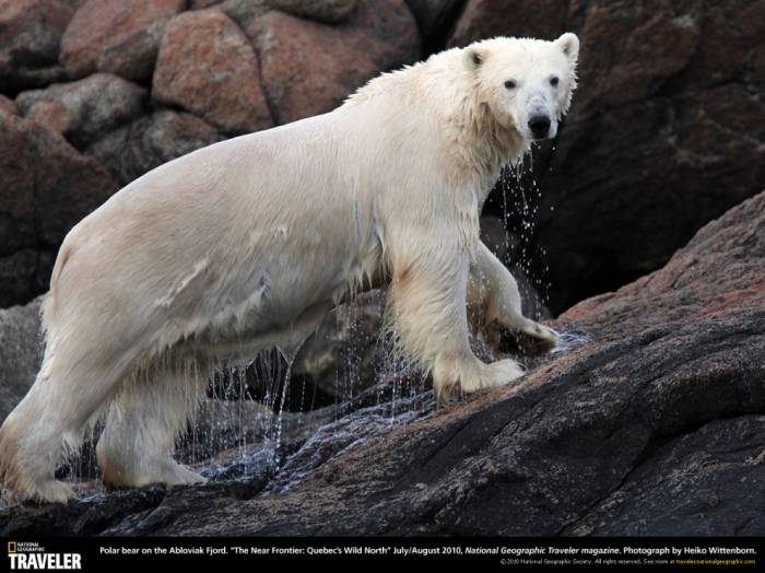    National Geographic (33 )