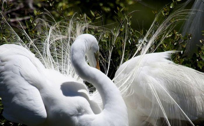    National Geographic 2013 (51 )