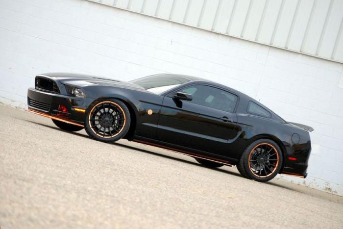 Ford Mustang Bad Penny (21 )