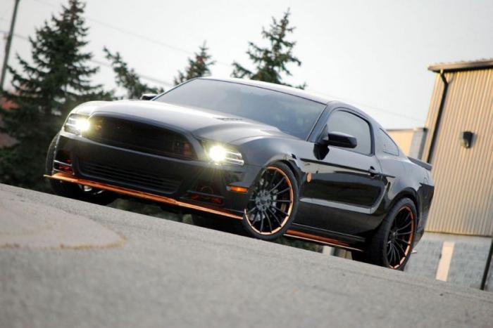 Ford Mustang Bad Penny (21 )