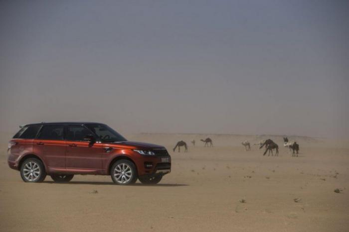 Range Rover Sport   --    (16 )