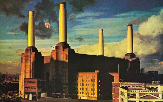   Pink Floyd   (21 )