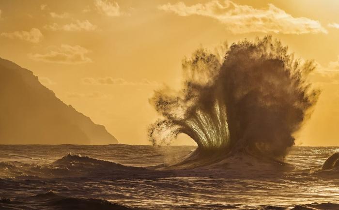  National Geographic Photo Contest 2013 (34 )