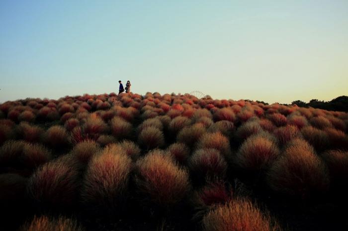  National Geographic Photo Contest 2013 (34 )