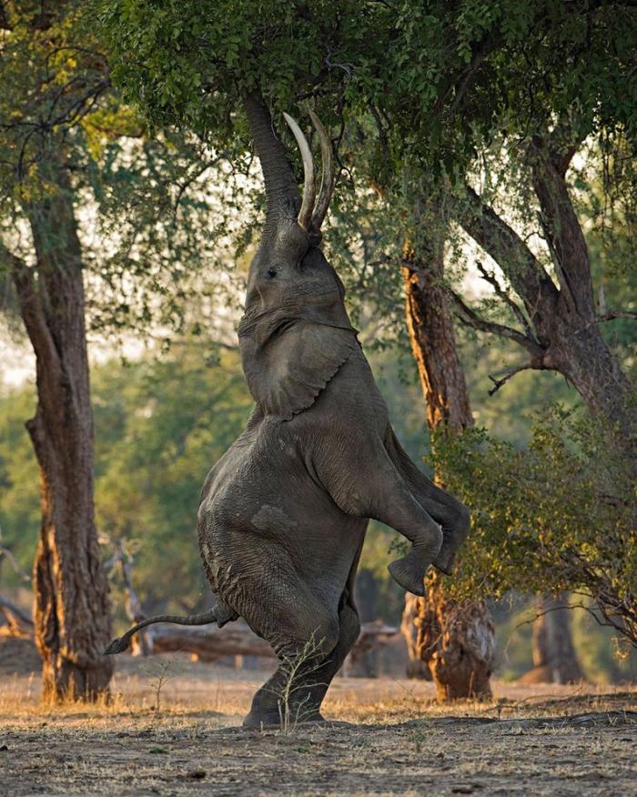  National Geographic Photo Contest 2013 (34 )