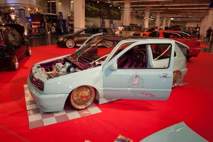 Essen Motor Show 2013 (82 )