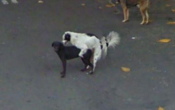    Google Street View (35 )