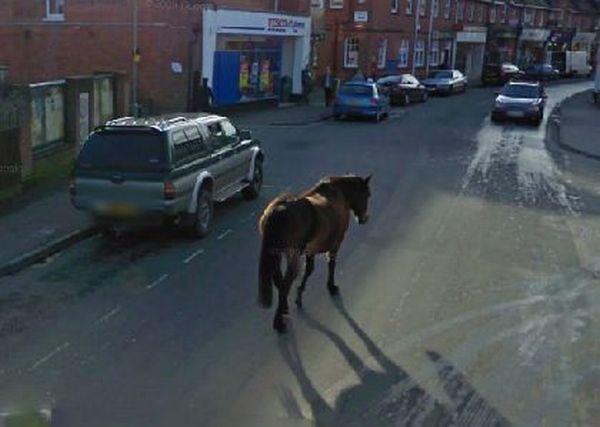    Google Street View (35 )