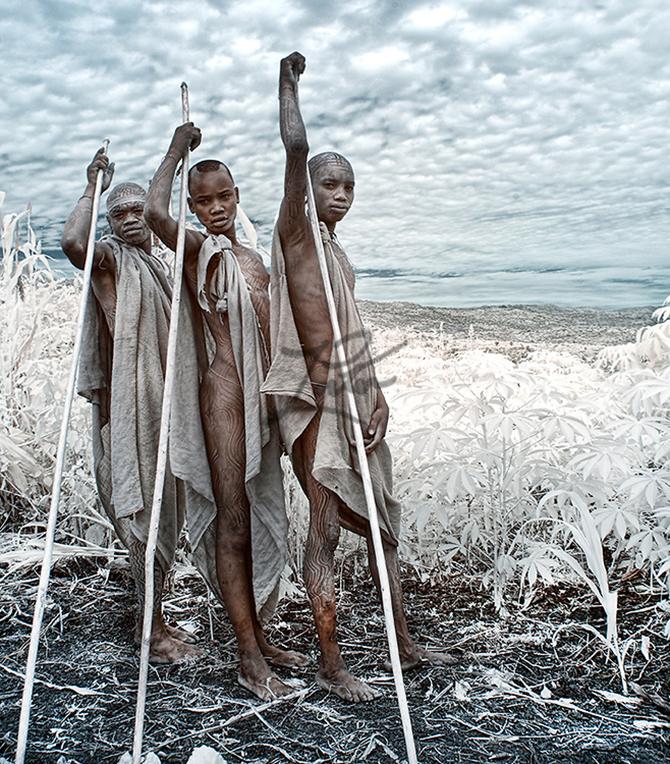   Sony World Photography Awards 2014 (36 )