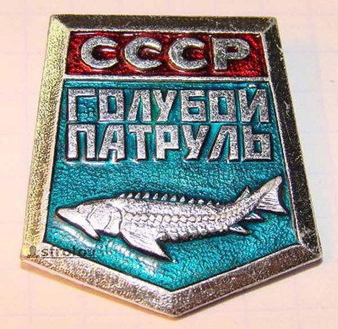      CCCP (53 )