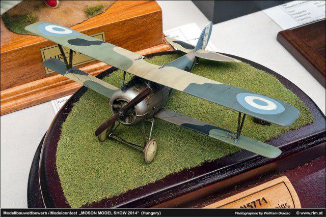         - MOSON MODEL SHOW 2014 (104 ) 