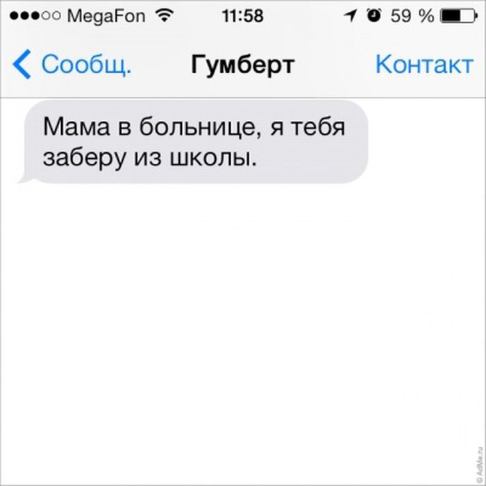  SMS    (31 ) 