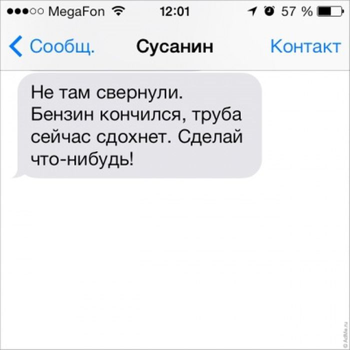  SMS    (31 ) 