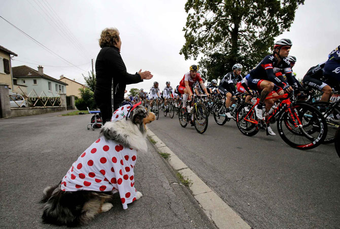     Tour de France 2014 (21 )