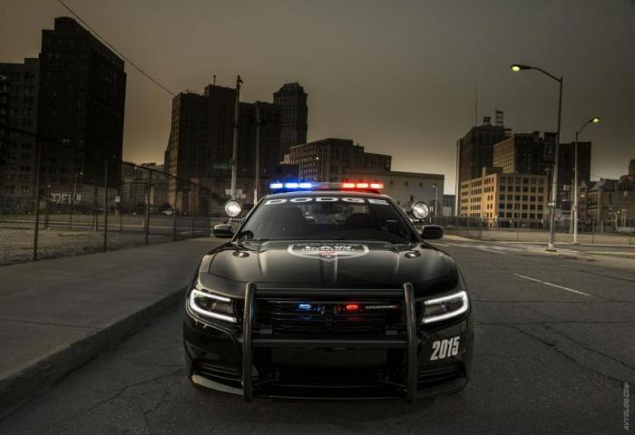   Dodge Charger (12 )