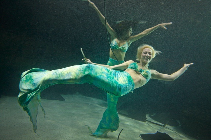    Weeki Wachee Springs  :     (6 )	