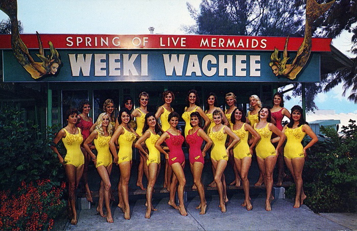    Weeki Wachee Springs  :     (6 )	