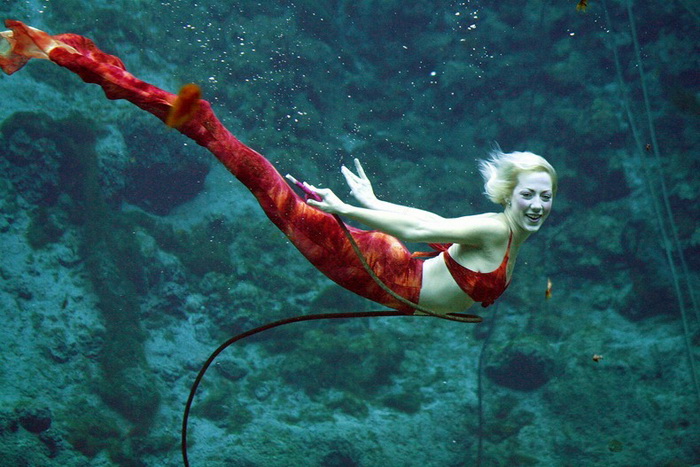    Weeki Wachee Springs  :     (6 )	