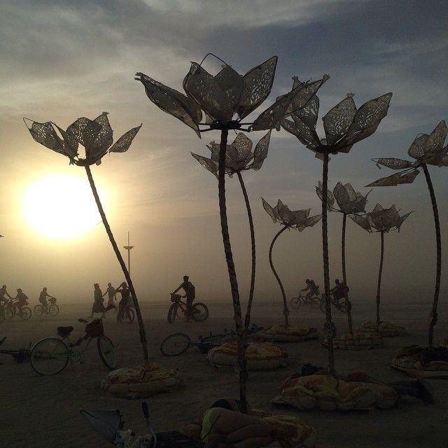   Burning Man   (53 ) 